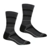 Regatta Calcetines Samaris 3 Season Para Hombre Pack De 2 Negro, Acero Oscuro